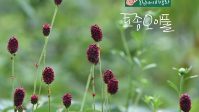 이네? 나도 써봤어! 솔직 후기와 꿀팁 대방출 ✨