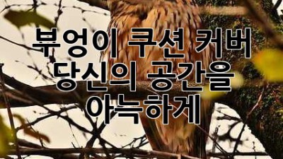 부엉이 쿠션 커버: 당신의 공간을 아늑하게
