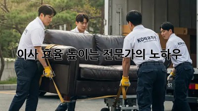 이사 효율 높이는 전문가의 노하우